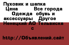 Пуховик и шапка  Adidas  › Цена ­ 100 - Все города Одежда, обувь и аксессуары » Другое   . Ненецкий АО,Тельвиска с.